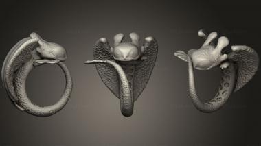 Jewelry rings Ring23 2 3d model